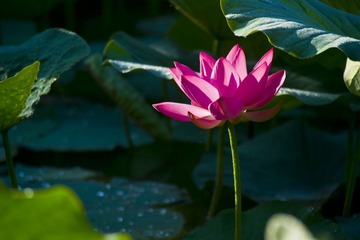_DSC4180