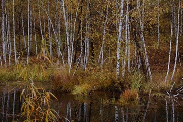 _DSC8021.jpg