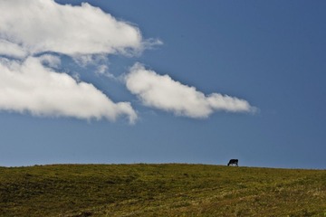 _DSC8947、修.jpg