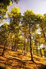 _DSC7770、叠加.jpg
