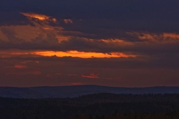 _DSC7838.jpg