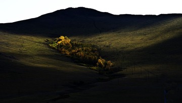 _DSC8952叠加、修.jpg