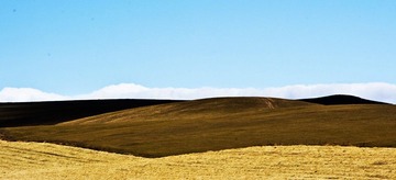 _DSC8956、裁、叠加.jpg