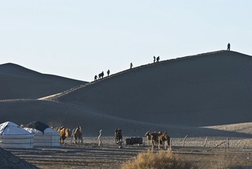 DSC_0359、亮.jpg