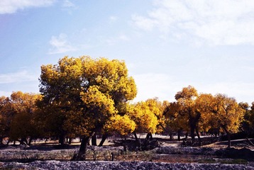 DSC_0196、修.jpg