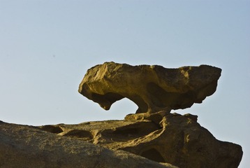 DSC_0164、鸡.jpg