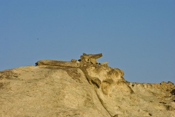 DSC_0180、鳄鱼.jpg