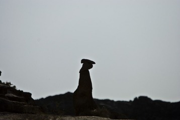 DSC_0213、亭亭玉立.jpg