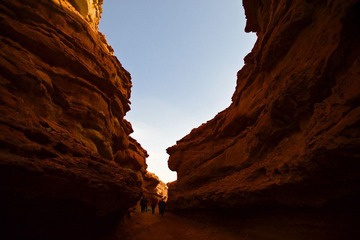 _DSC9200.jpg