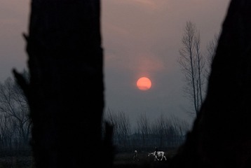 DSC_0031、合.jpg