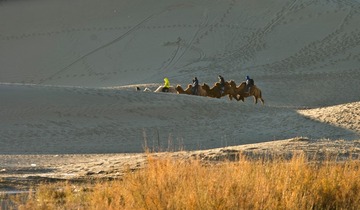 DSC_0350、裁、再裁.jpg