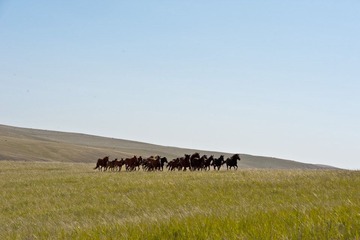 _DSC6967、修2.jpg