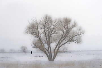 _DSC0820、合成、高光暗调.jpg