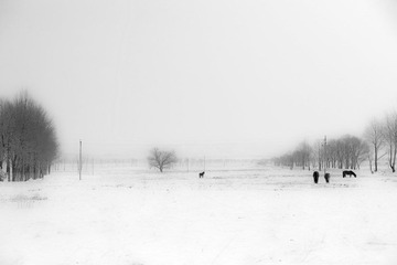 _DSC0742、高光暗调.jpg