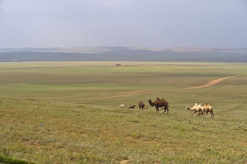 _DSC0064