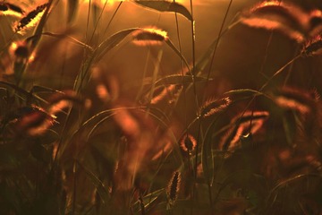 _DSC4135