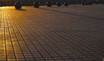 _DSC5915