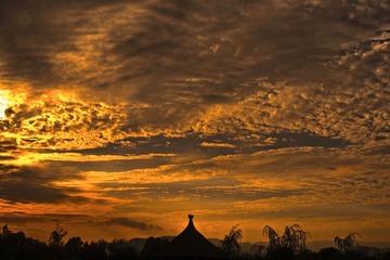 _DSC3038