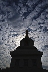 _DSC2960
