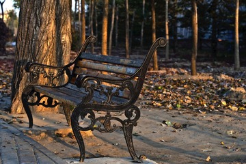 _DSC7372