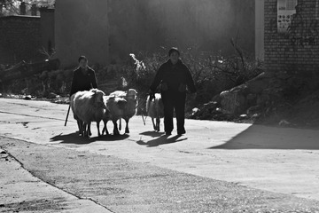 _DSC0329