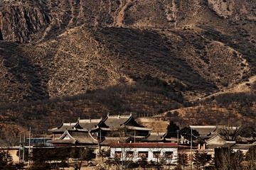 五素图召