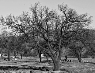 _DSC0254
