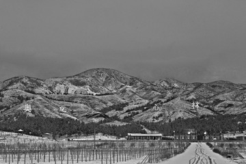 _DSC0837