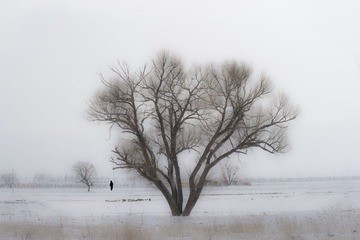 _DSC0820