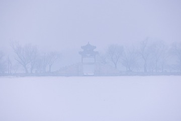 新区1