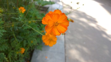 9F588E90-8A77-453D-BF9D-2ADD07FB9332/L0/001