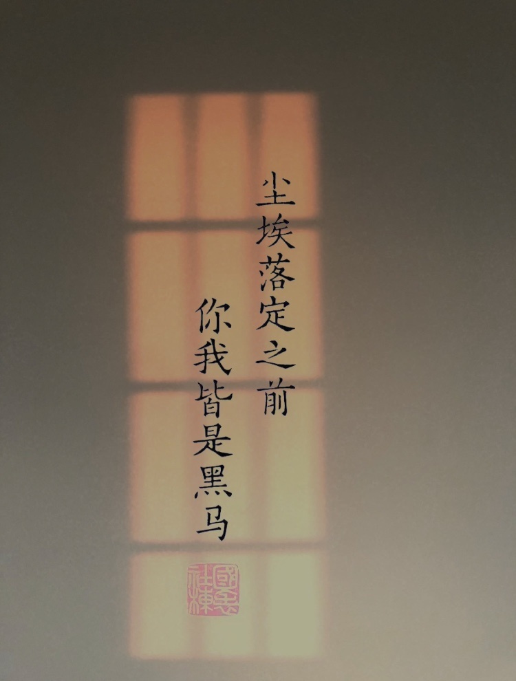 尘埃落定之前你我皆是黑马