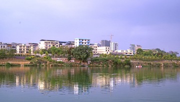 2008446
