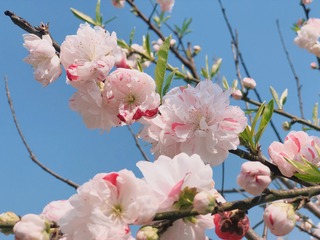 0209A2DB-D807-4F02-966D-8C328D88B86D/L0/001