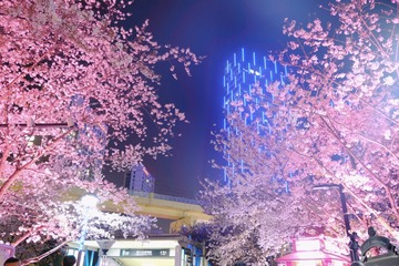 F724C207-0FA8-4D3D-A22E-E0DA86647AD8/L0/001