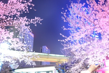 69411C47-6E1B-400A-9BF1-5BA75CC63488/L0/001