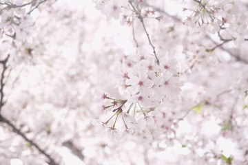 0107A520-5531-4E87-B7C4-C06102BD5482/L0/001