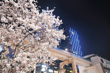 052904BB-AE2A-45C0-8FD5-56DFAC9E629B/L0/001