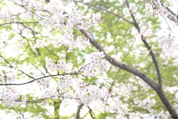 4D05744F-294D-40D9-A51E-7B8CD1C2F627/L0/001