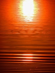 778C41E5-3587-40D2-8AE8-529A021A7AC7/L0/001