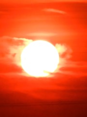 36B319A1-EC2D-4AB7-8C7E-423CC6C7302A/L0/001