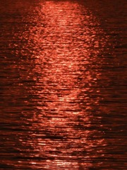 40614CFC-6EE4-42E6-B885-B7FD7310C55C/L0/001