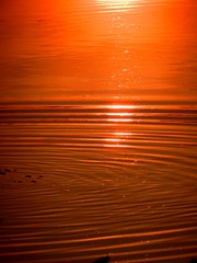 5C1C0D11-96E6-4C0E-9B89-39FC63371F8E/L0/001