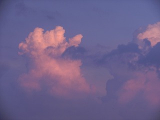 FFA8099D-034A-495E-8807-B5F9A2F4D360/L0/001