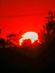 5905EB6F-FFF5-44BE-842D-9CFE011794F5/L0/001