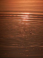 1A2149AF-07C3-4B00-8FB6-88D020B36001/L0/001