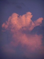 12C65F60-FF55-4BD7-A63B-6A2DA9F814A1/L0/001