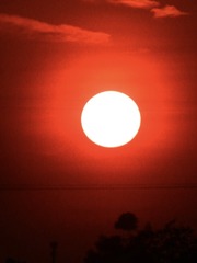 1A2B3773-8107-4303-AE20-3B9656AFB701/L0/001