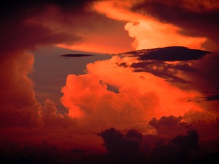 846F01DC-C8FF-46A6-8978-6E04D70CA6B5/L0/001
