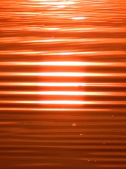 128456D0-6C57-48D5-8BDF-C59096B779FC/L0/001